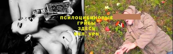 стафф Коряжма