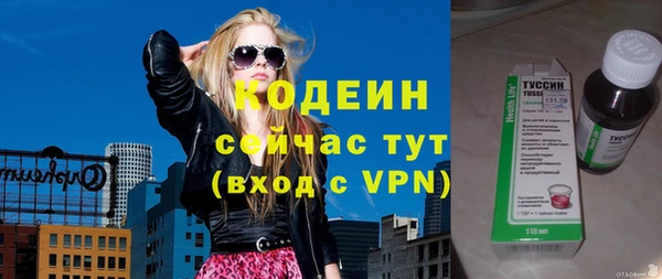 ГАЛЛЮЦИНОГЕННЫЕ ГРИБЫ Корсаков