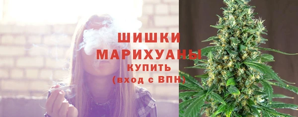 стафф Коряжма