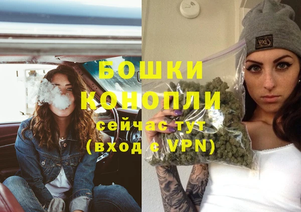 стафф Коряжма