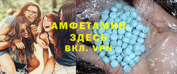 ГАЛЛЮЦИНОГЕННЫЕ ГРИБЫ Корсаков