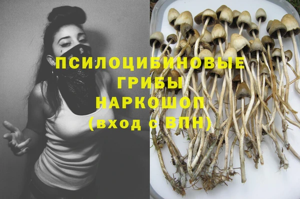 стафф Коряжма