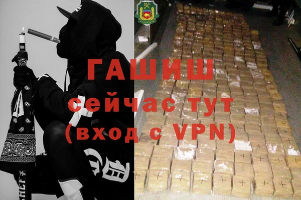 ГАЛЛЮЦИНОГЕННЫЕ ГРИБЫ Корсаков