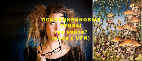 ГАЛЛЮЦИНОГЕННЫЕ ГРИБЫ Корсаков