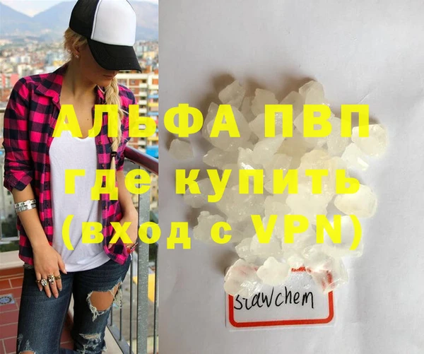 ГАЛЛЮЦИНОГЕННЫЕ ГРИБЫ Корсаков