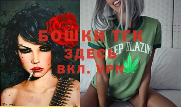 ГАЛЛЮЦИНОГЕННЫЕ ГРИБЫ Корсаков