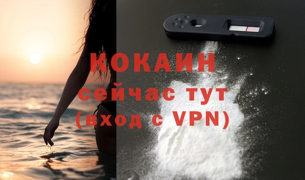 стафф Коряжма