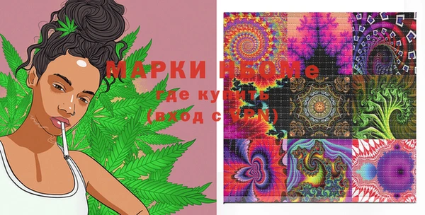 стафф Коряжма