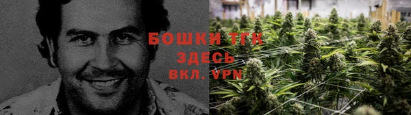 стафф Коряжма